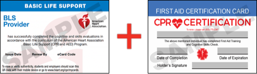Sample American Heart Association AHA BLS CPR Card Certification and First Aid Certification Card from CPR Certification NYC