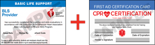 Sample American Heart Association AHA BLS CPR Card Certification and First Aid Certification Card from CPR Certification Norwood