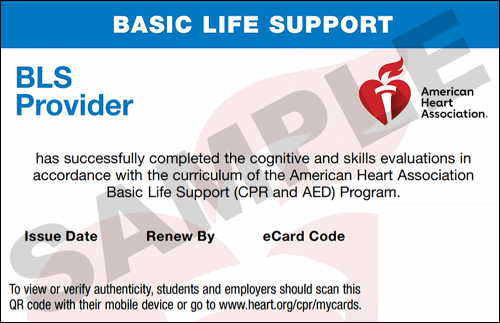 Sample American Heart Association AHA BLS CPR Card Certification from CPR Certification NYC