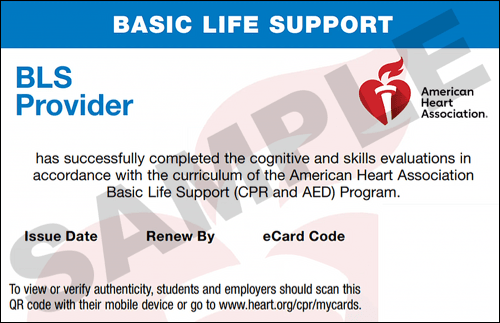 Sample American Heart Association AHA BLS CPR Card Certification from CPR Certification Lower Manhattan