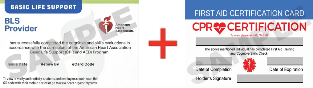 Sample American Heart Association AHA BLS CPR Card Certification and First Aid Certification Card from CPR Certification NYC